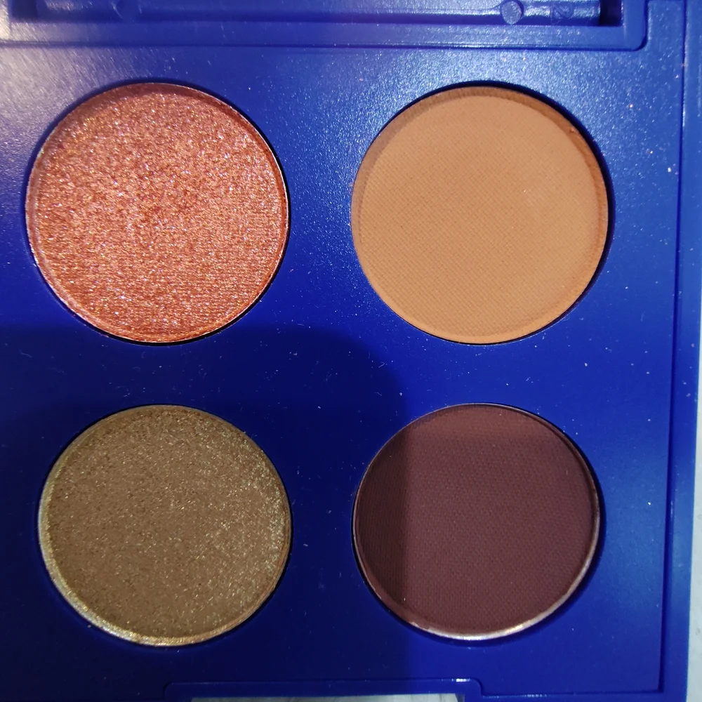 Tresluce Beauty Vibrant Eyeshadow Palette with Shimmering Gold and Warm Brown